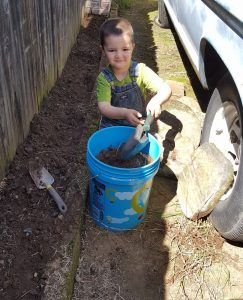erikplanting